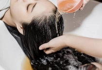 Gội trị gàu, nấm